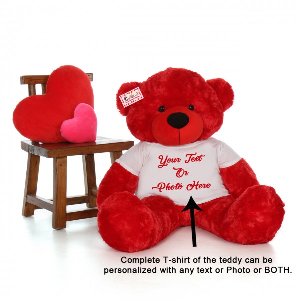 Personalized Red Teddy Bear Soft Toy wearing Customized Photo and Message Tshirt